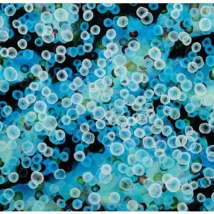 Bioluninescent Tideline Drift II